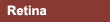 Retina